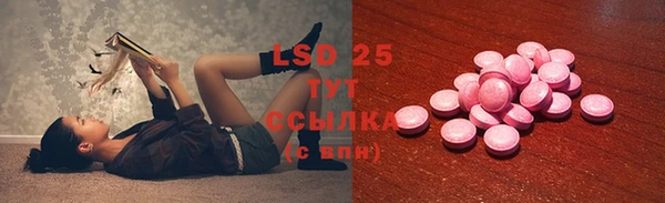 стаф Баксан