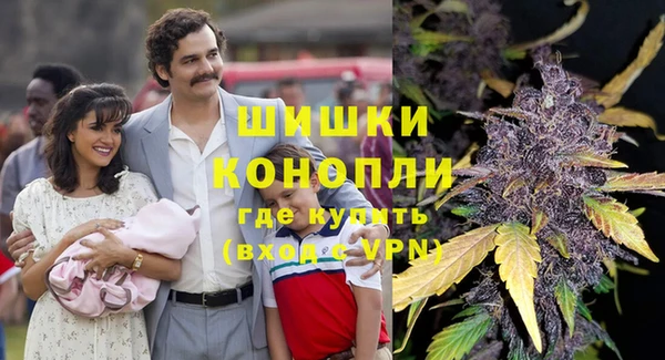 стаф Баксан