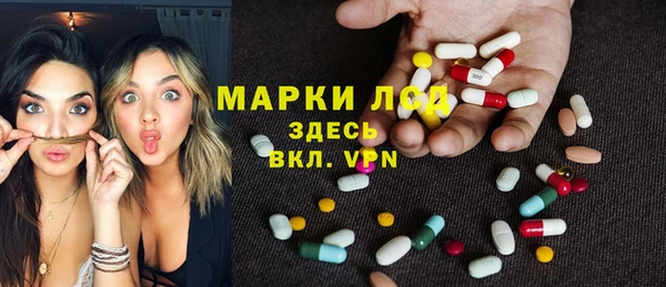стаф Баксан