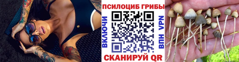 Псилоцибиновые грибы MAGIC MUSHROOMS  маркетплейс телеграм  Черняховск 